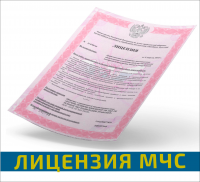 Сопровождение получения